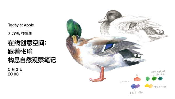 在线创意空间:跟着张瑜构思自然观察笔记