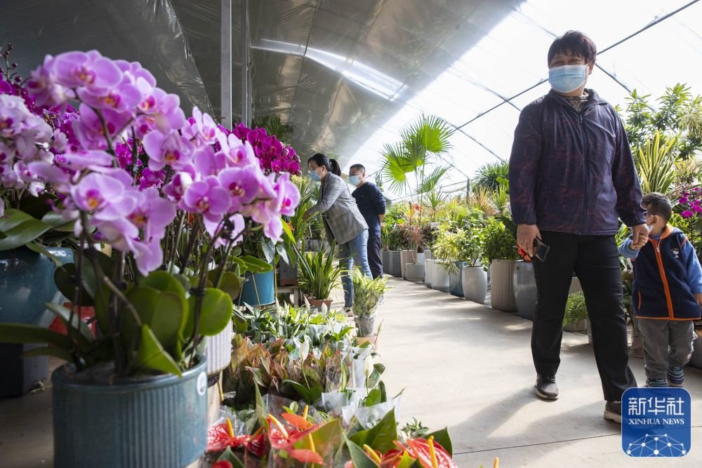 10月6日,市民在银川市贺兰县宁夏丰植源花卉批发市场选购鲜花