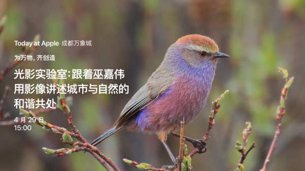 光影实验室:跟着巫嘉伟用影像讲述城市与自然的和谐共处