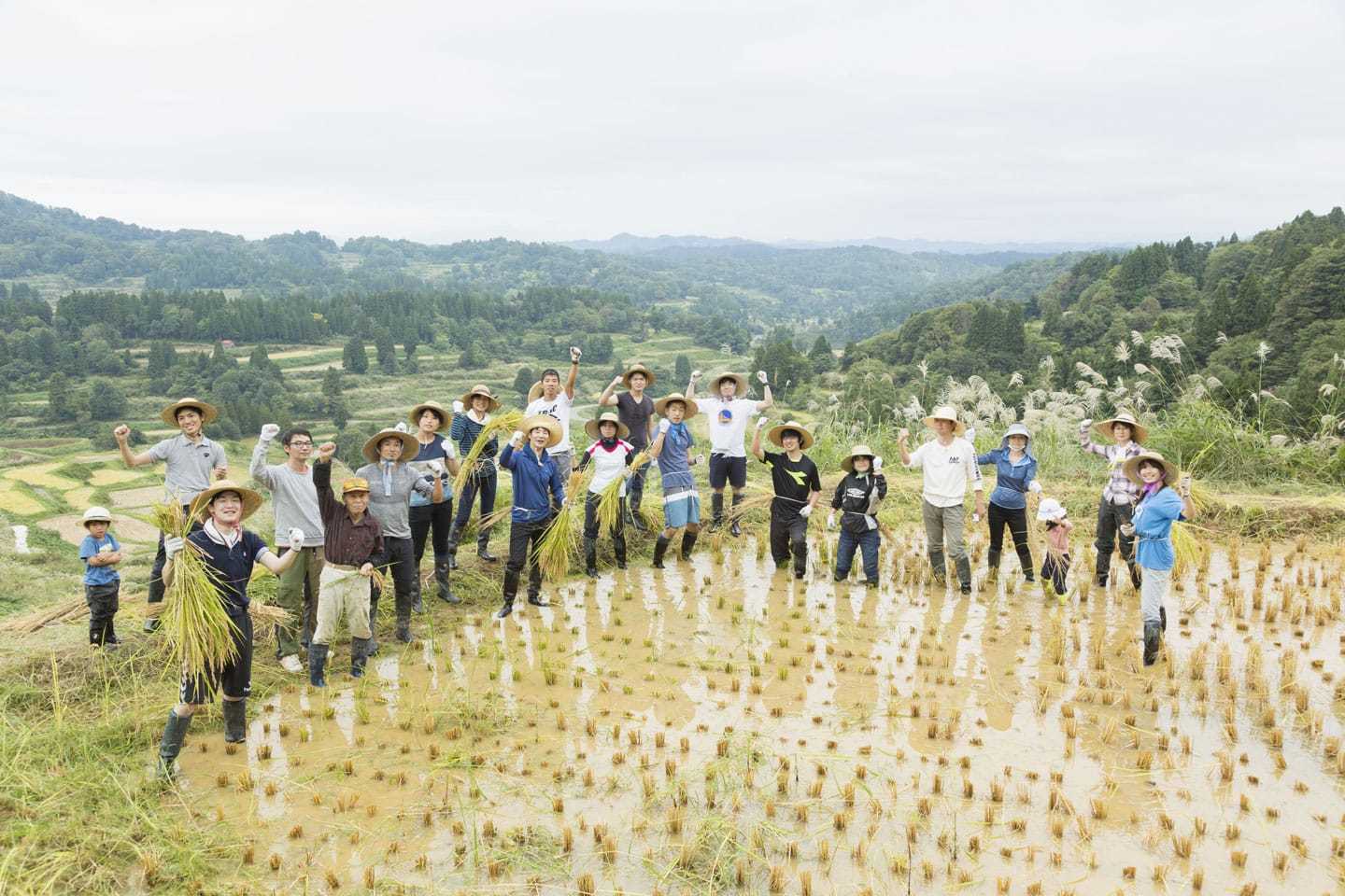 “区域振兴合作成员”可以通过参与当地的农业、渔业、庆典等活动,为融入当地社区进行“磨合。 越后妻有大地艺术祭官网 图