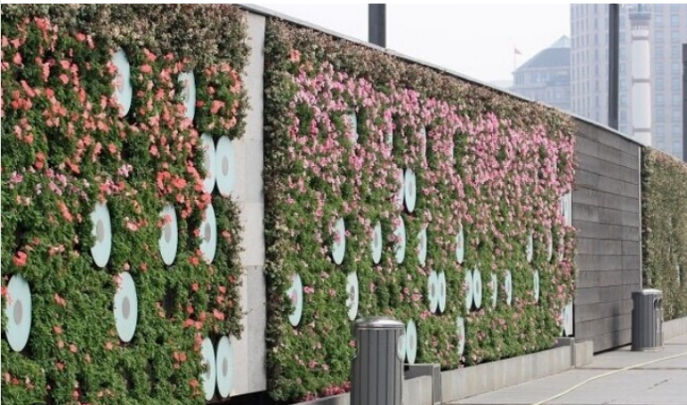 绵延千米的“情人墙”实际是“防洪墙”