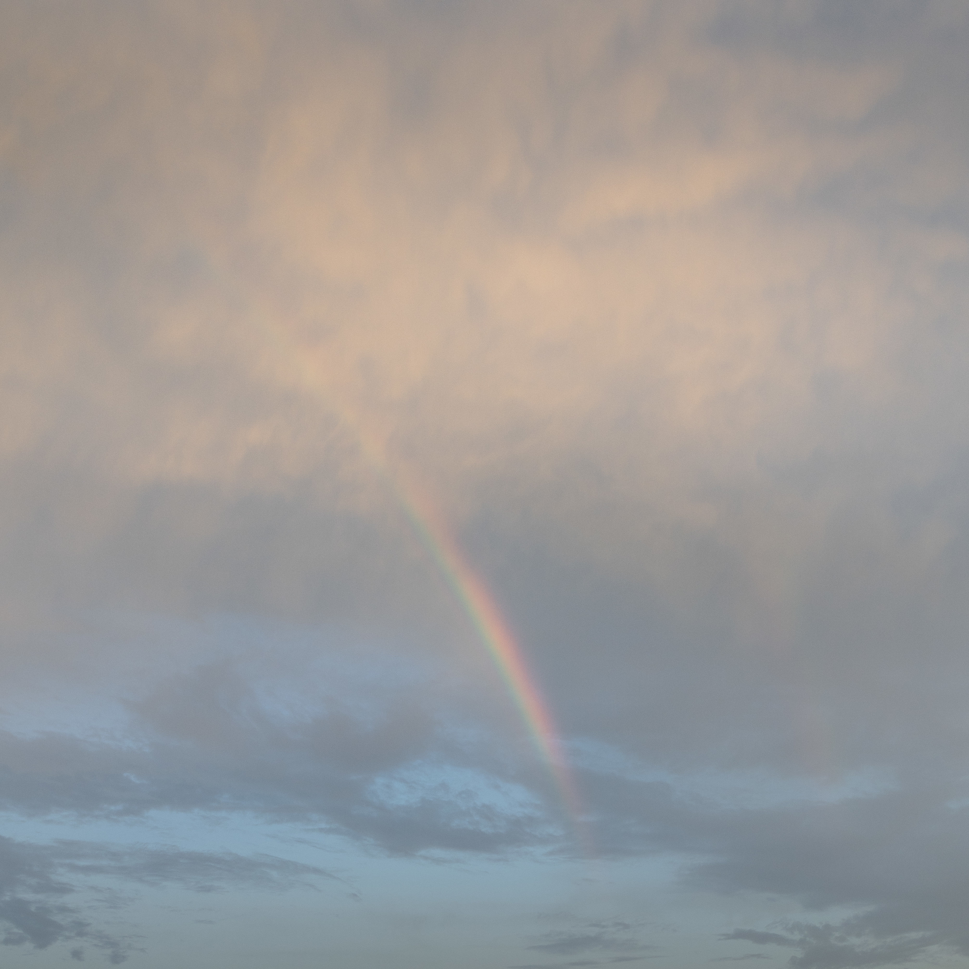 上海-20220812彩虹 2.JPG