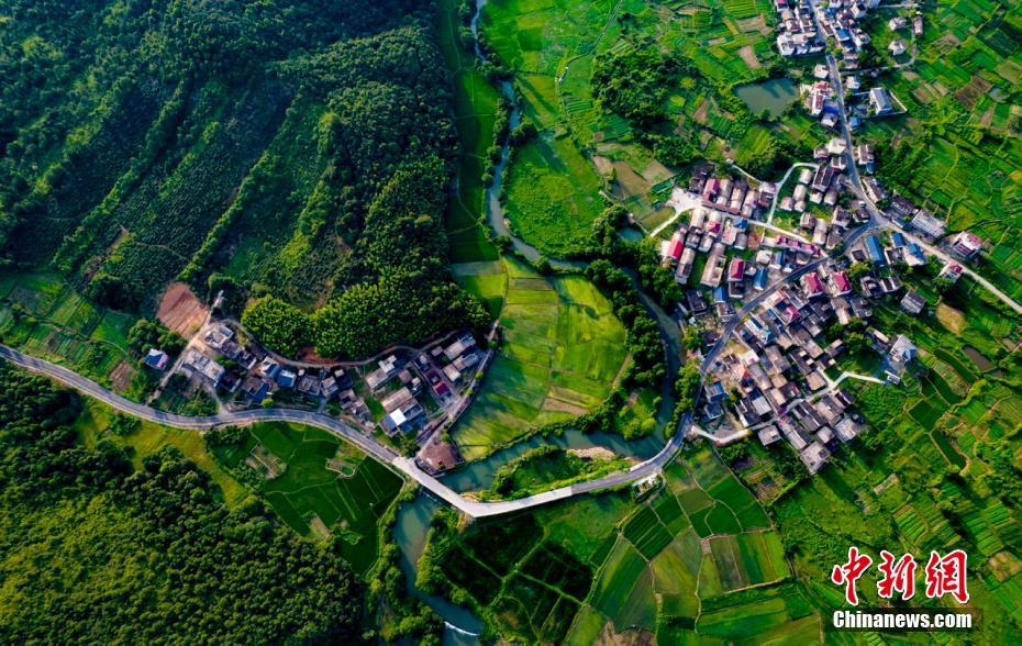 资料图：江西省新余市仙女湖区欧里镇，稻田、村庄、农村公路、蜜橘和苗木等特色种植基地在青山绿水之间交错成景。赵春亮 摄