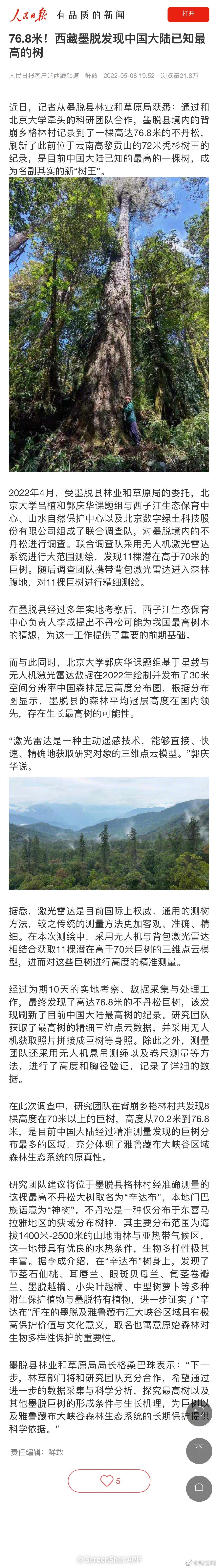 76.8米！西藏發現中國大陸已知最高的樹