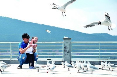 游人在云南昆明海埂大坝观赏红嘴鸥。新华社发
