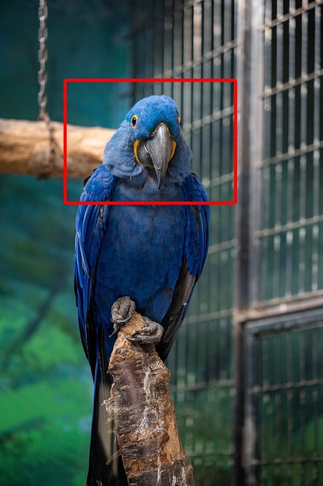 【每日摄影】均衡型全画幅微单 尼康Z6 II现在值得买吗