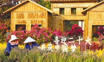 广西壮族自治区柳州市河东公园，工作人员在养护花卉。为喜迎二十大，今年花展时间延长至一个月。　　