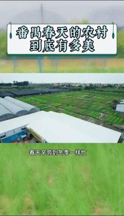 万象“耕”新 到广州番禺的乡村里寻找春天