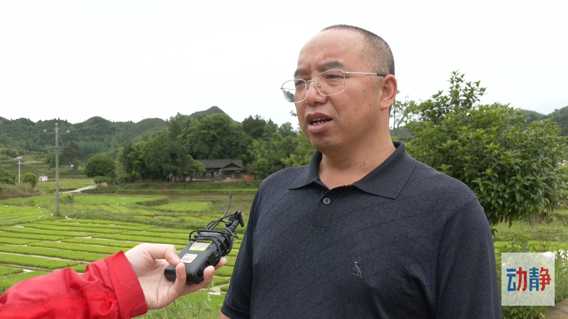 玉屏县农业农村局副局长 黄俊芳