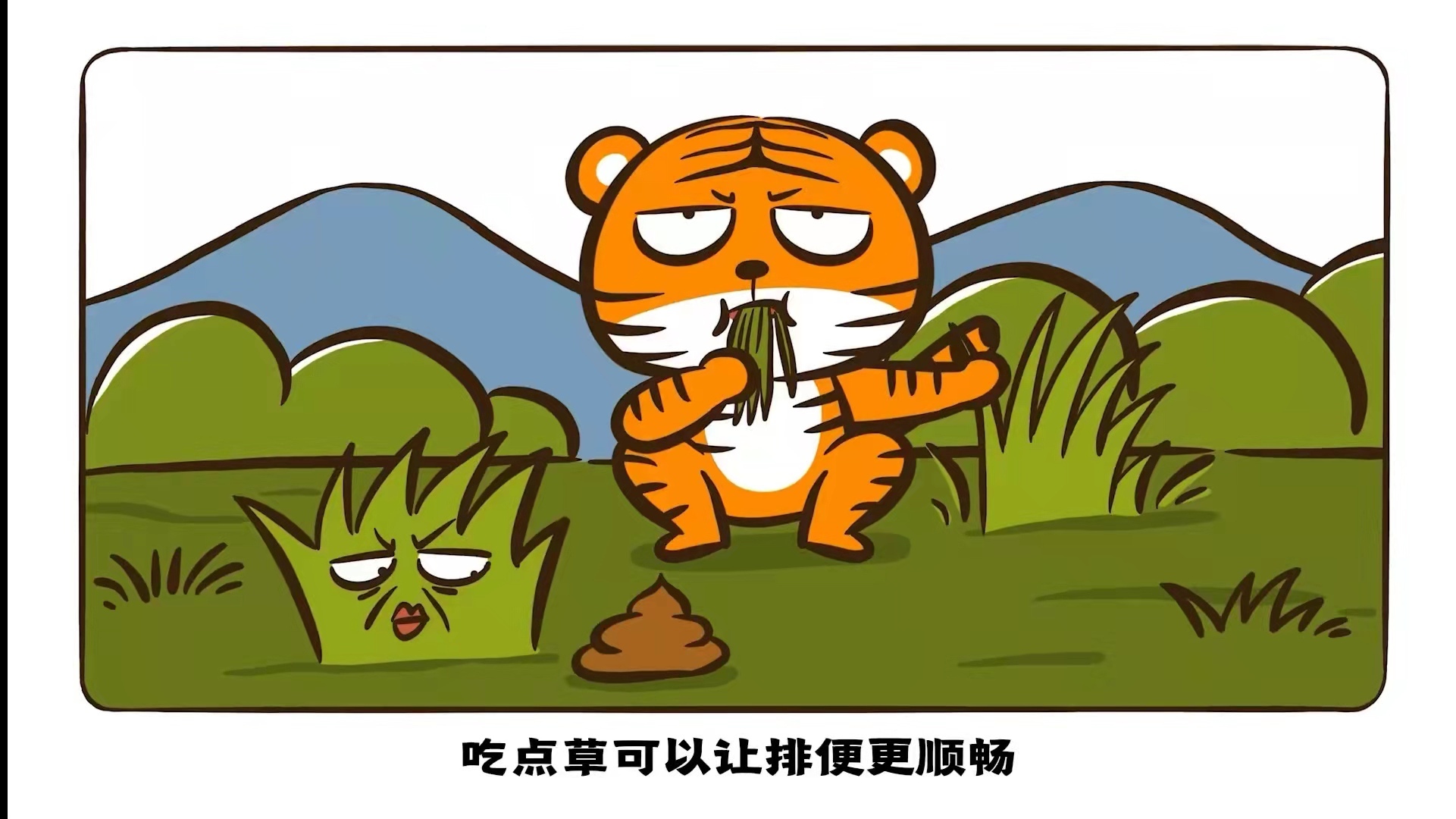 生肖中的“虎”，是什么虎？原来老虎也会吃草？