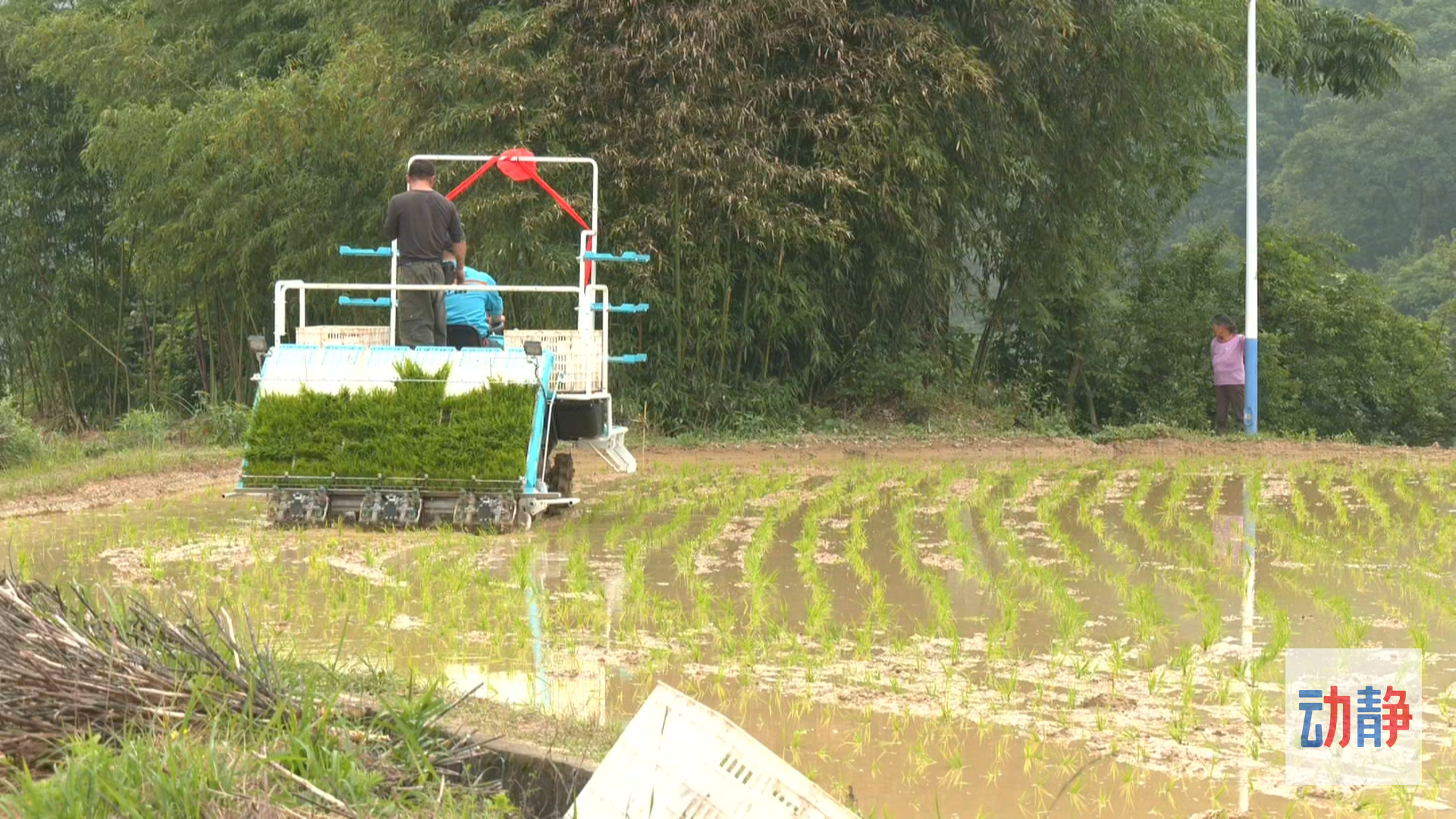 大国“粮”策丨贵州农业生产托管探索种地新模式