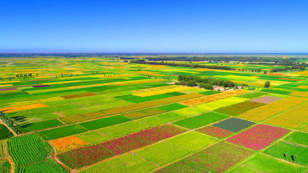 图为疏勒河灌区