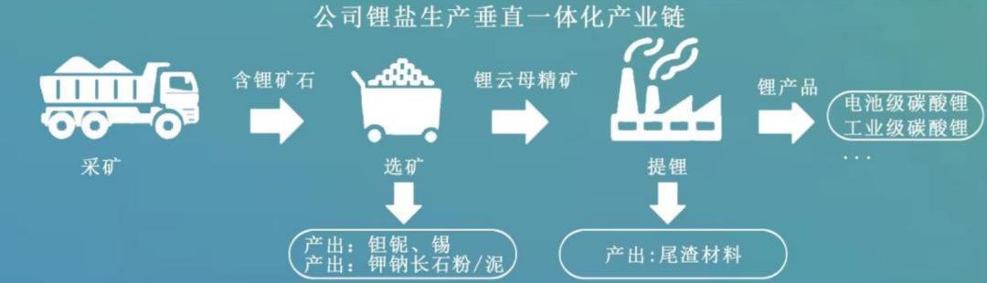 九岭锂业估值减半也要IPO 不只是钱的事 第2张-心情说说 图源:招股说明书