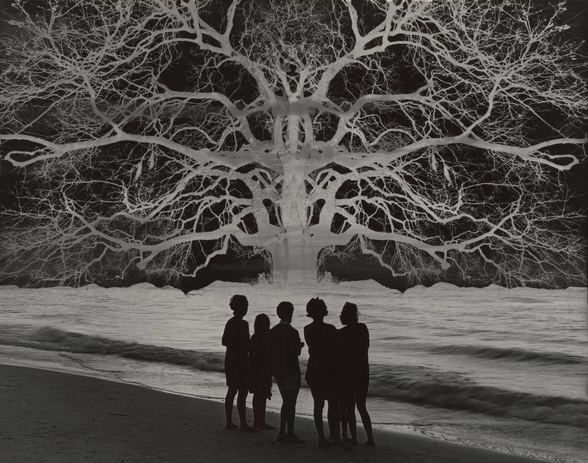 杰里·尤斯曼作品