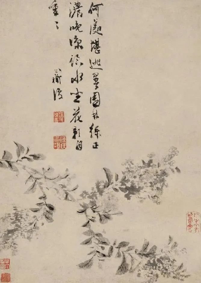 这写意花鸟,笔墨纵横,疏爽淋漓_凤凰网