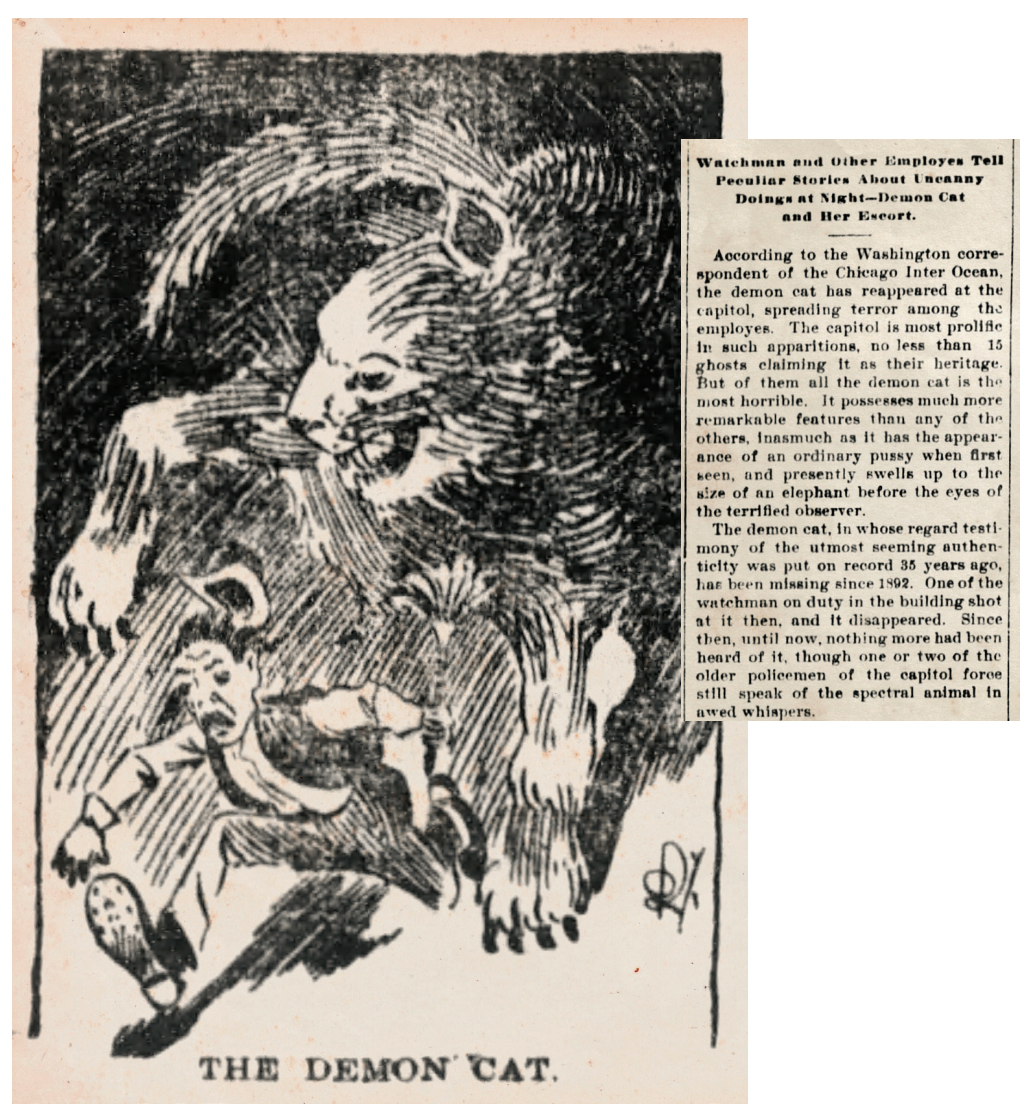 1898年恶魔猫给美国国会大厦造成恐慌，此新闻曾发表于当年的多家报纸，还配上了画家描绘的恶魔猫的再现图。