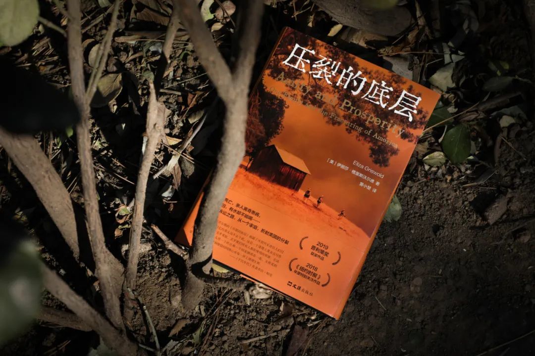 了解全蚀的本质