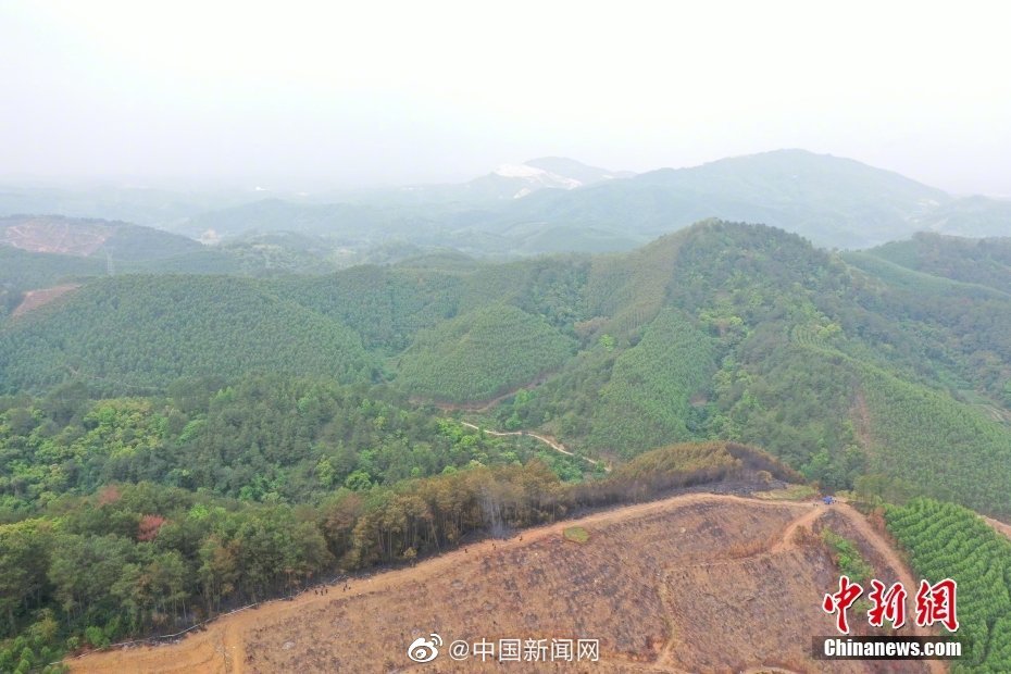 航拍东航MU5735坠毁现场