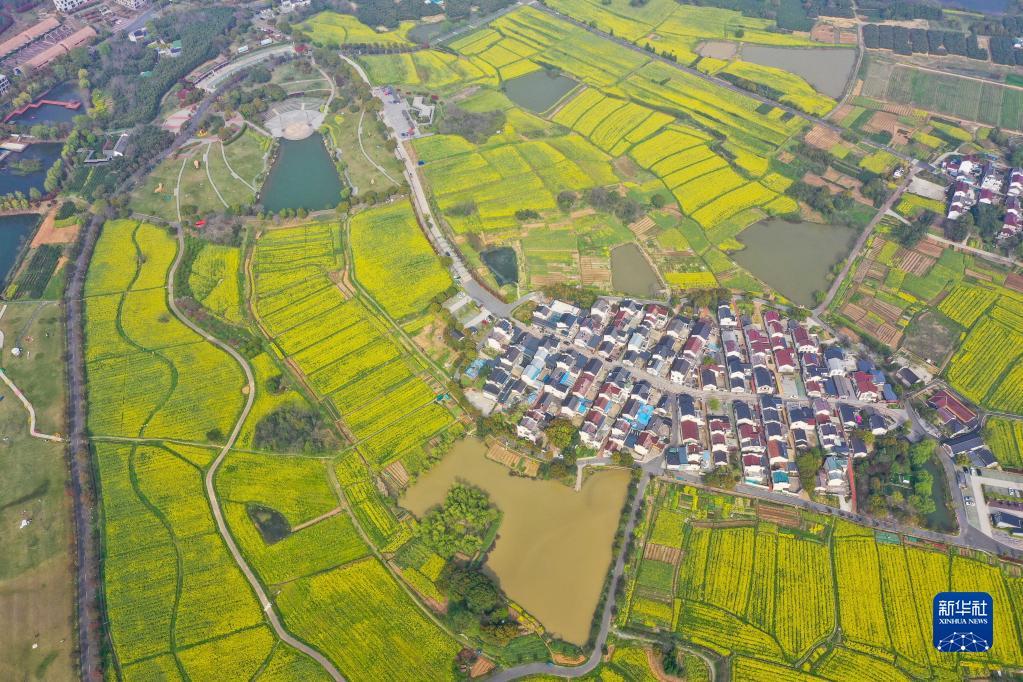 3月28日,遊人在椏溪國際慢城油菜花田拍照.1 2 3 4 5 6 7