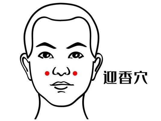 迎香穴 图片来自网络