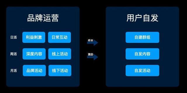 告别蔚来崇拜:狂热车主、社区文化与小米信徒 第5张-心情说说 告别蔚来崇拜:狂热车主、社区文化与小米信徒 第5张