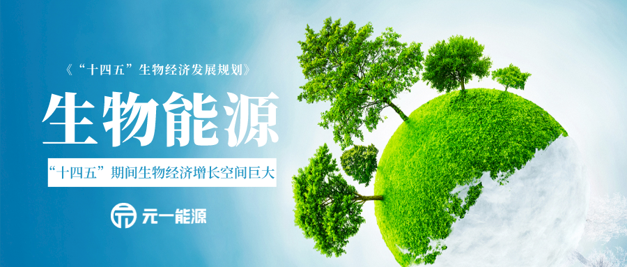 生物经济首部五年规划出台新发展阶段生物能源如何干