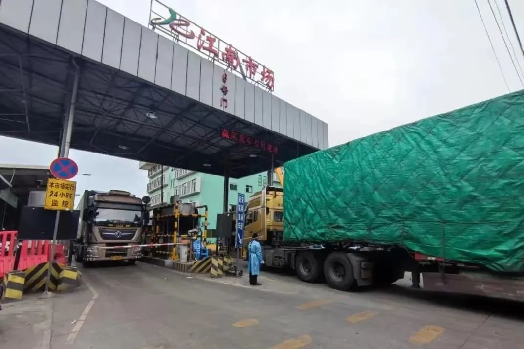 蔬菜在广州当地市场的销售也受到了疫情影响