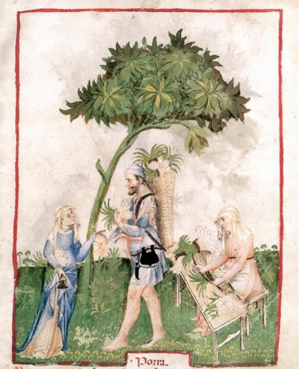 《韭葱商人》（Merchand de poireaux），伊本·布特兰（Ibn Butlân）所著《健康全书》（Tacuinumsanitatis）中的彩色插画，创作于1390—1400年，手抄本现藏于巴黎法国国家图书馆，编号：NAL1673,fol.24。