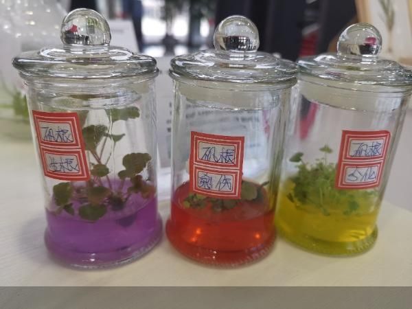一粒种子是怎样炼成的北京市种子条例的立法故事