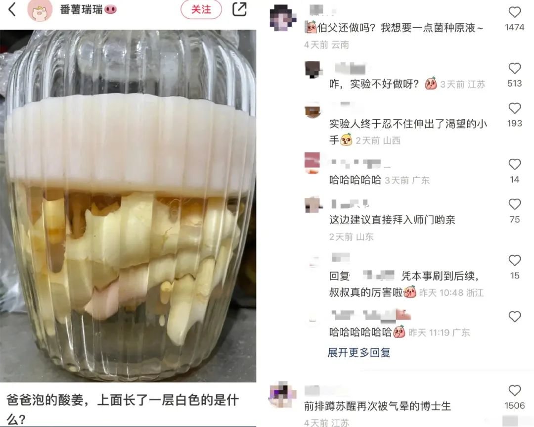 上辈子造孽 这辈子读研做实验