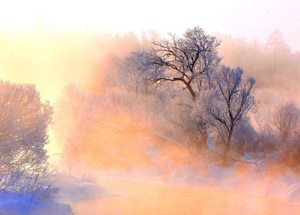 这是黑龙江省伊春市丰林县红星镇库尔滨雾凇风景区(2013年1月17日摄).