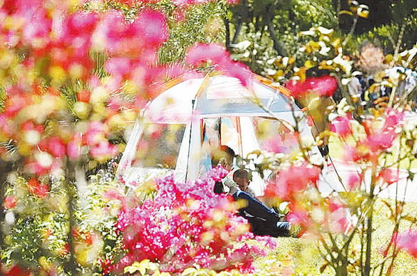 滨湖国家森林公园露营地