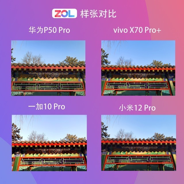 5000万像素谁最会拍?华为/一加/小米/vivo主摄实测对比(不发)