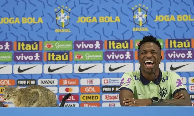 1/4决赛对阵克罗地亚队赛前的巴西队新闻发布会上，一只猫坐在巴西前锋维尼修斯旁，并出现在镜头前 图源：《卫报》