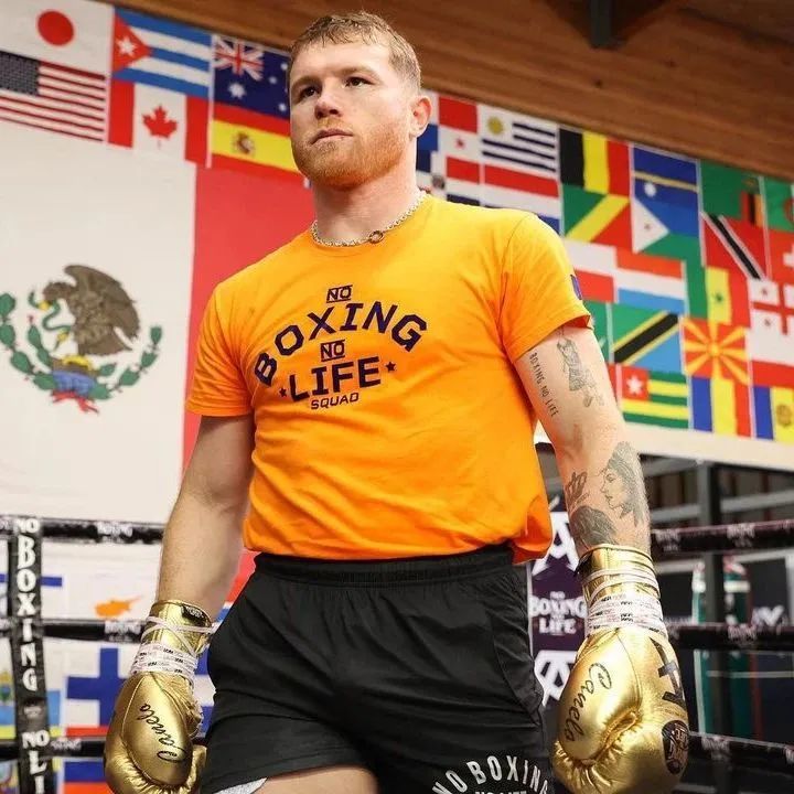 你听说过,史书中神秘记载"拳手肌肉"吗?__凤凰网