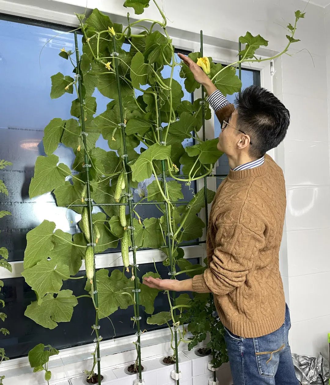 我在阳台疯狂种菜,有2000种神器,成行业TOP3