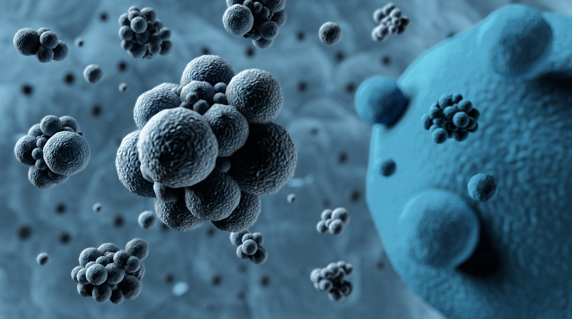 HeLa细胞培养污染，黑色圆形污染物 - 细胞技术讨论版 -丁香园论坛