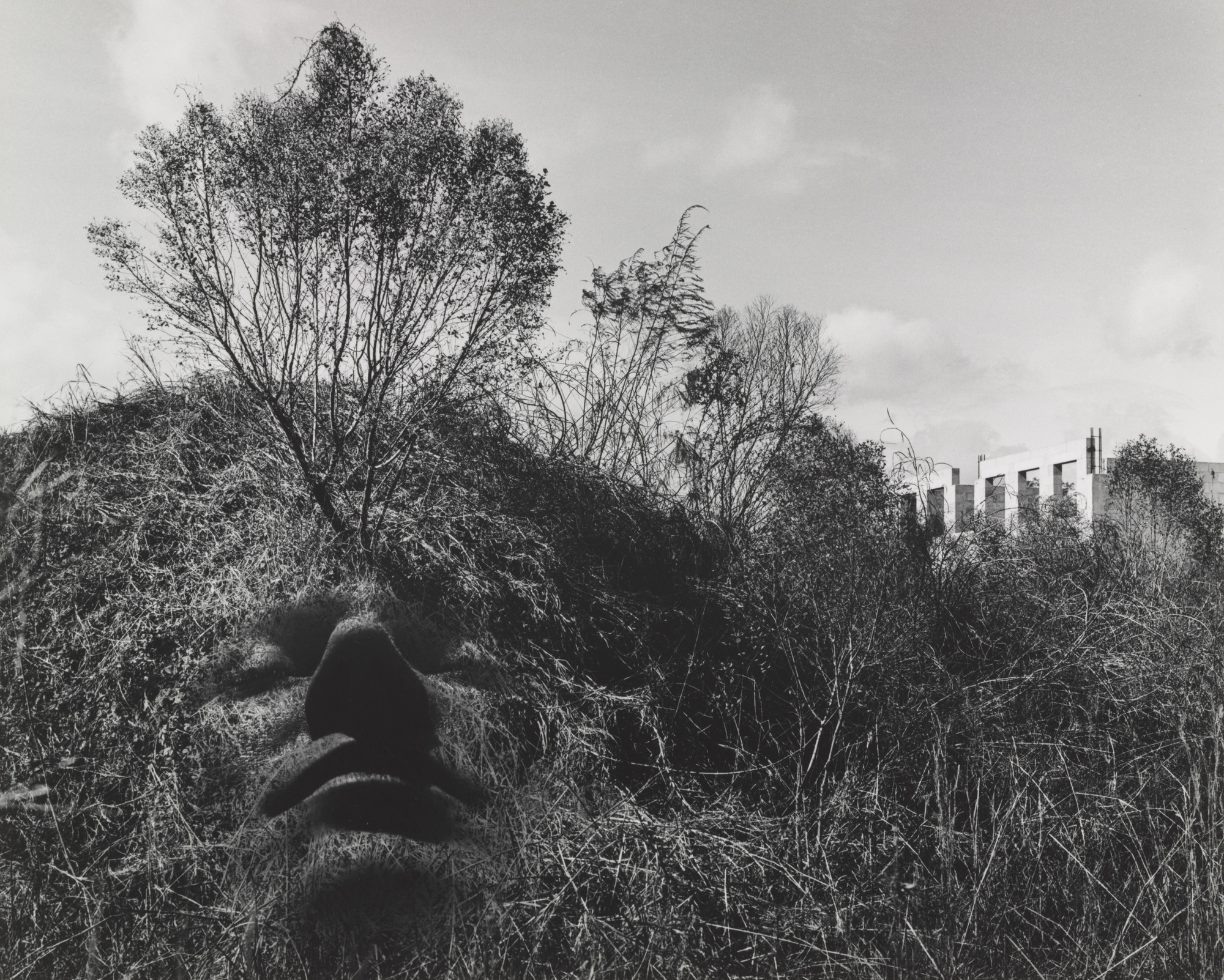 杰里·尤斯曼作品