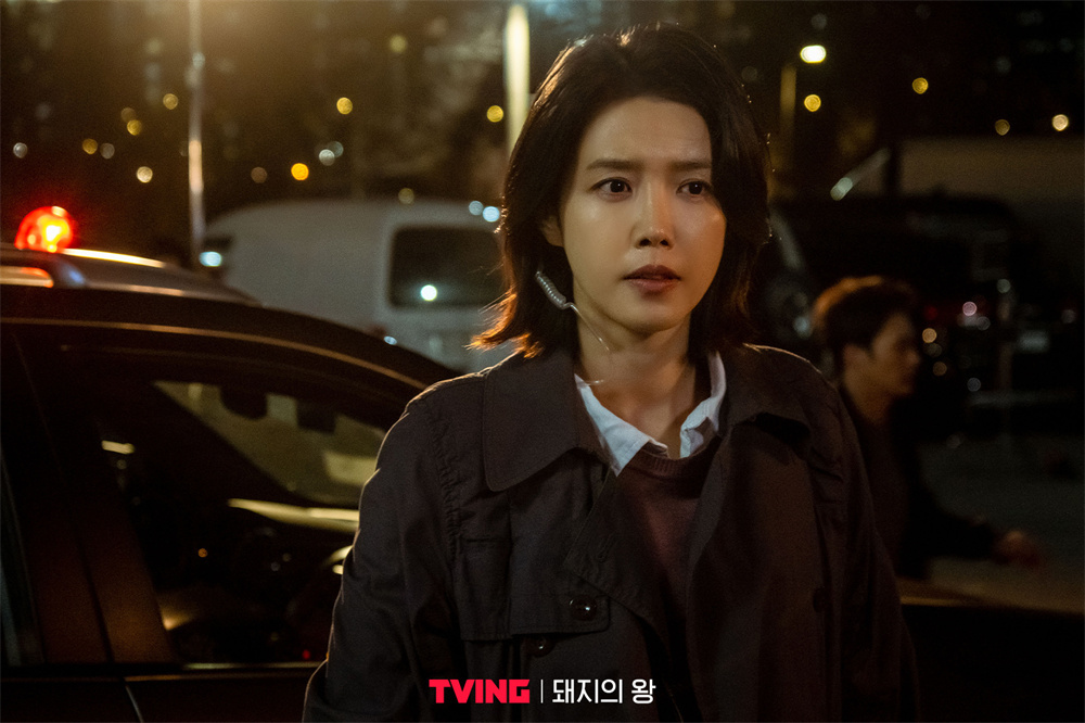 为什么叫自毁式注射器《猪猡之王》：自毁式和解与困境_https://www.jmylbn.com_新闻资讯_第5张