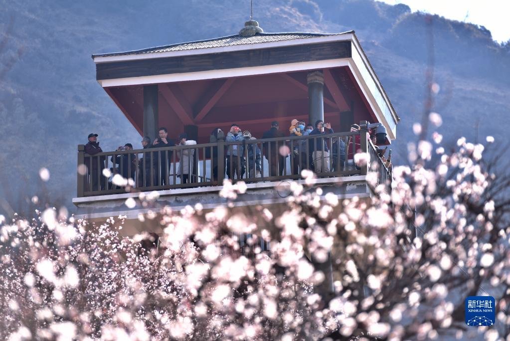 游客在林芝市嘎拉村观赏盛开的桃花（2021年3月27日摄）。新华社记者 孙瑞博 摄