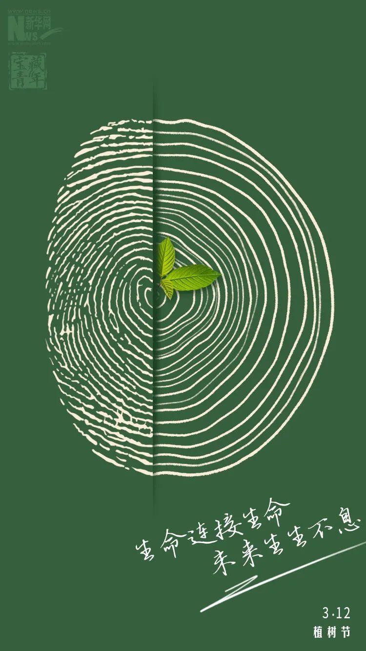 指纹与年轮连接出生命的绿意就是这个节日的意蕴今天3月12日又是一年