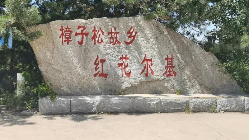 红花尔基樟子松林是我国北方广泛栽种的沙地樟子松的母树林。（孔祥瑞 摄）