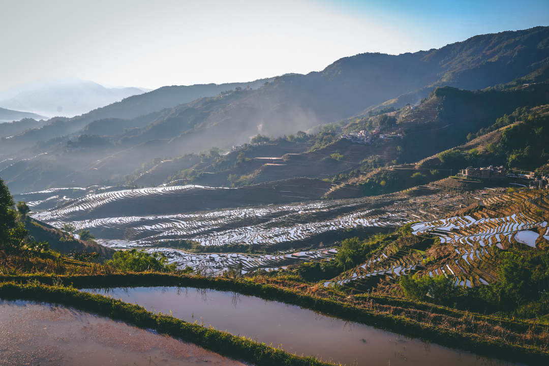调色盘又出大片云南绿春梯田春耕美如画