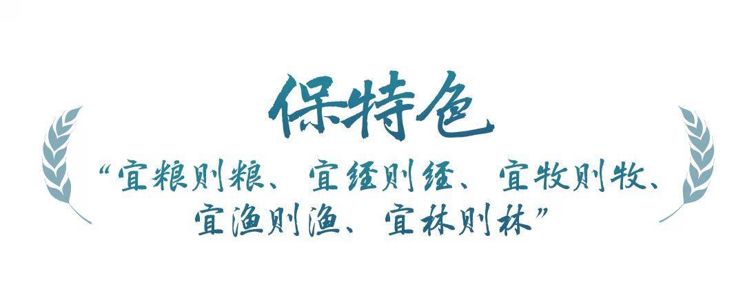 春事看农桑丨“大食物观”托起“舌尖幸福”