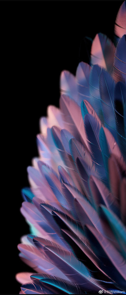 OPPO Find N2 Flip小折叠屏壁纸