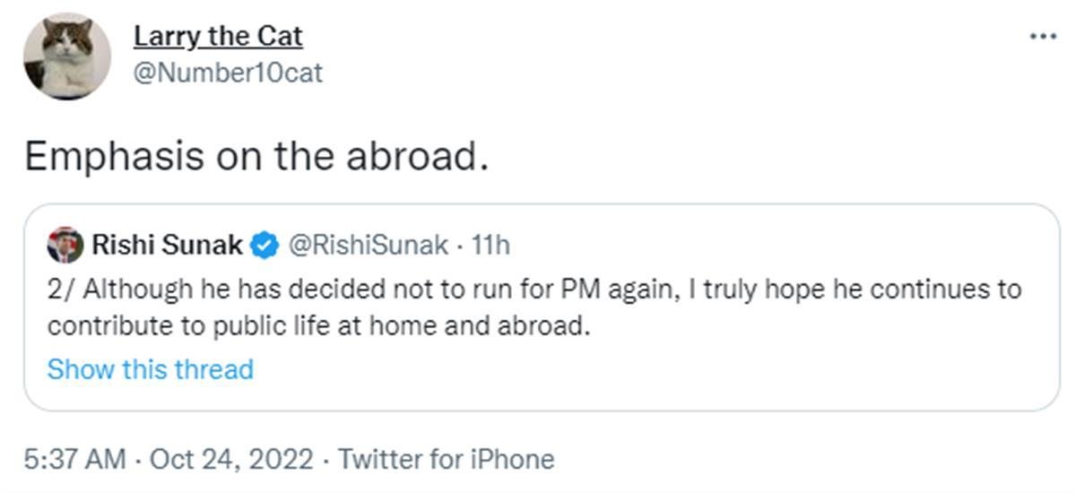 英国“第一猫”拉里在社交平台上留言（来源：推特）