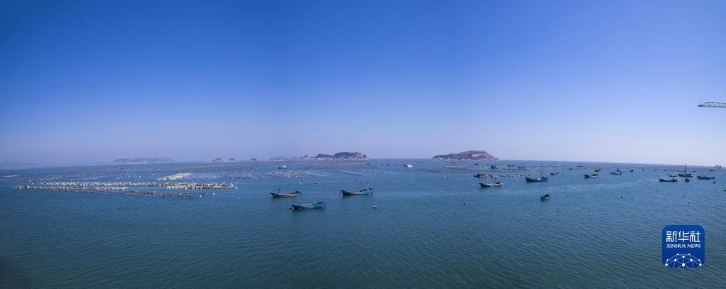 这是庄河市王家镇海上养殖区（2022年6月摄）。新华社发