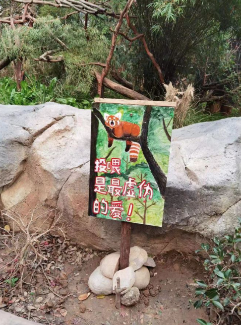现在，红山动物园里，禁止投喂的标识随处可见。
