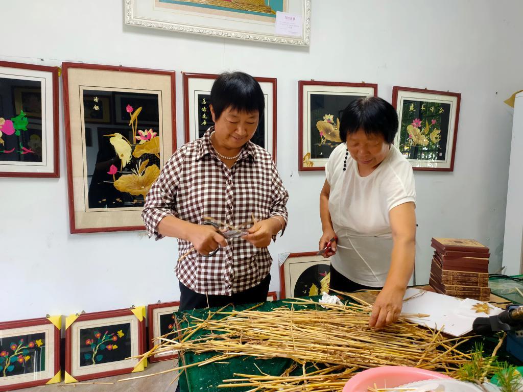 在高唐县三十里铺镇孙庄村的“草艺斋”工作室，农民“画师”们正在挑选用于制作麦秆画的麦秆。（受访者供图）
