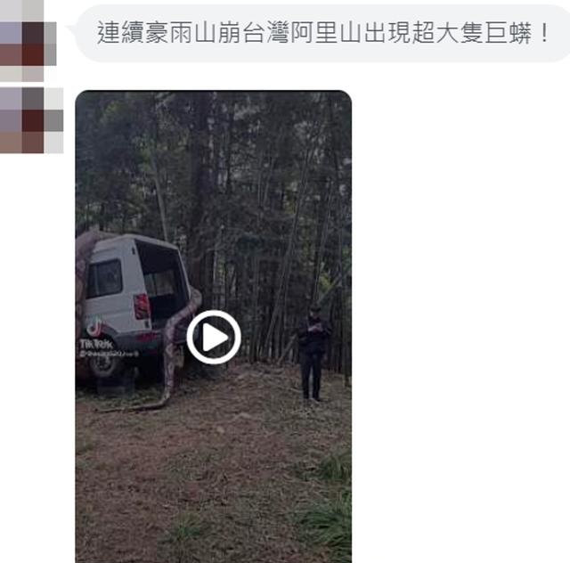 核查：超大巨蟒现身阿里山？卷住货车的影片惊呆台湾网友？